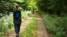 What Is Forest Bathing? Can We Gain Health Benefits From Nature Therapy?