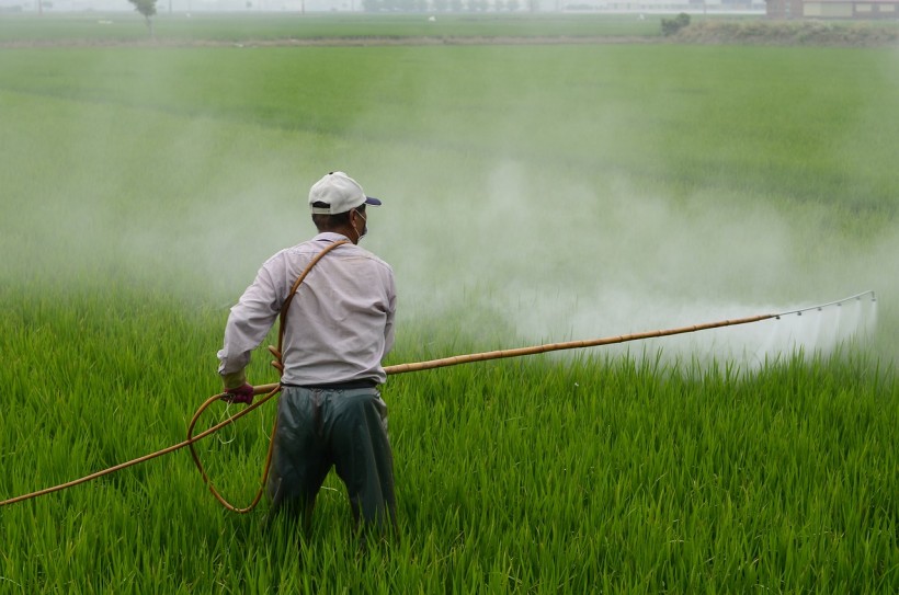 Insecticides Linked to Declining Sperm Counts: New Research Calls for Regulations to Reduce Human Exposure to Chemicals