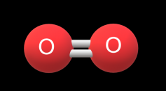 Extreme Deoxygenation, Elevated Methane Could End Humans, Most Life Relying on Oxygen