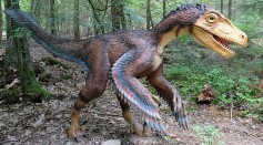 Does Oil Come From Dinosaurs? Geologist Addresses Myth Gasoline Is From Decomposed Velociraptors