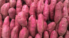 Savoring Sweet Potatoes: Unveiling the Seven Remarkable Health Benefits Beyond the Thanksgiving Treat