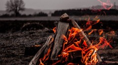 When Did Humans Discover Fire? How Did the Blazing Flames Shape Our History?