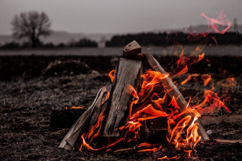 When Did Humans Discover Fire? How Did the Blazing Flames Shape Our History?