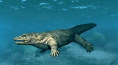 6-Foot Terrifying Creature With Razor Sharp Teeth, Bone Crushing Jaws Roamed Iowa 340 Million Years Ago