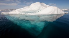 Iceberg 3 Times the Size of New York City Drifting for Past Year Not Surprising, Expert Says