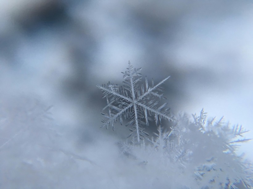 Snowflakes Unveiled: From Microscopic Masterpieces to the Largest Recorded Icy Marvels