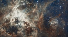 JWST Explores 'The Brick' in the Milky Way, Unveiling Frozen Carbon Monoxide and Posing Challenges to Star Formation Theories