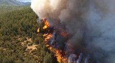 Wildfires Transform Aquatic Ecosystems, Alter Life on Waterways as Much as on Land