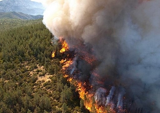 Wildfires Transform Aquatic Ecosystems, Alter Life on Waterways as Much as on Land