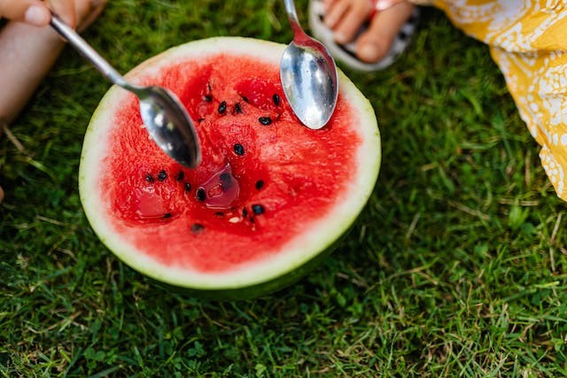 Will Watermelon Seed Grow In Your Stomach?