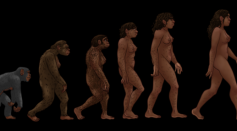 Human Evolution: Natural Selection Is Still at Play, Evolutionary Biomechanist Says