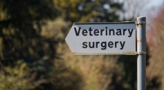a sign that says veterinary surgery on it