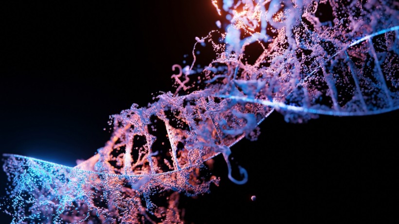 DNA Invader: Ancient Genetic Colonizer Inhabits Our Genome and Causes Disease-Causing Mutation