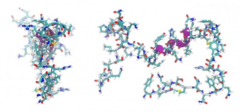 Adrenomedullin Peptide Molecule