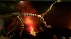 Revisiting Dinosaur Discovery: Evidence Suggests African Origins Centuries Before British Contributions