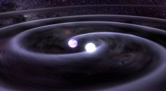 Standard Gravity Breaks Down at Low Acceleration Pure Binary Stars [Study]
