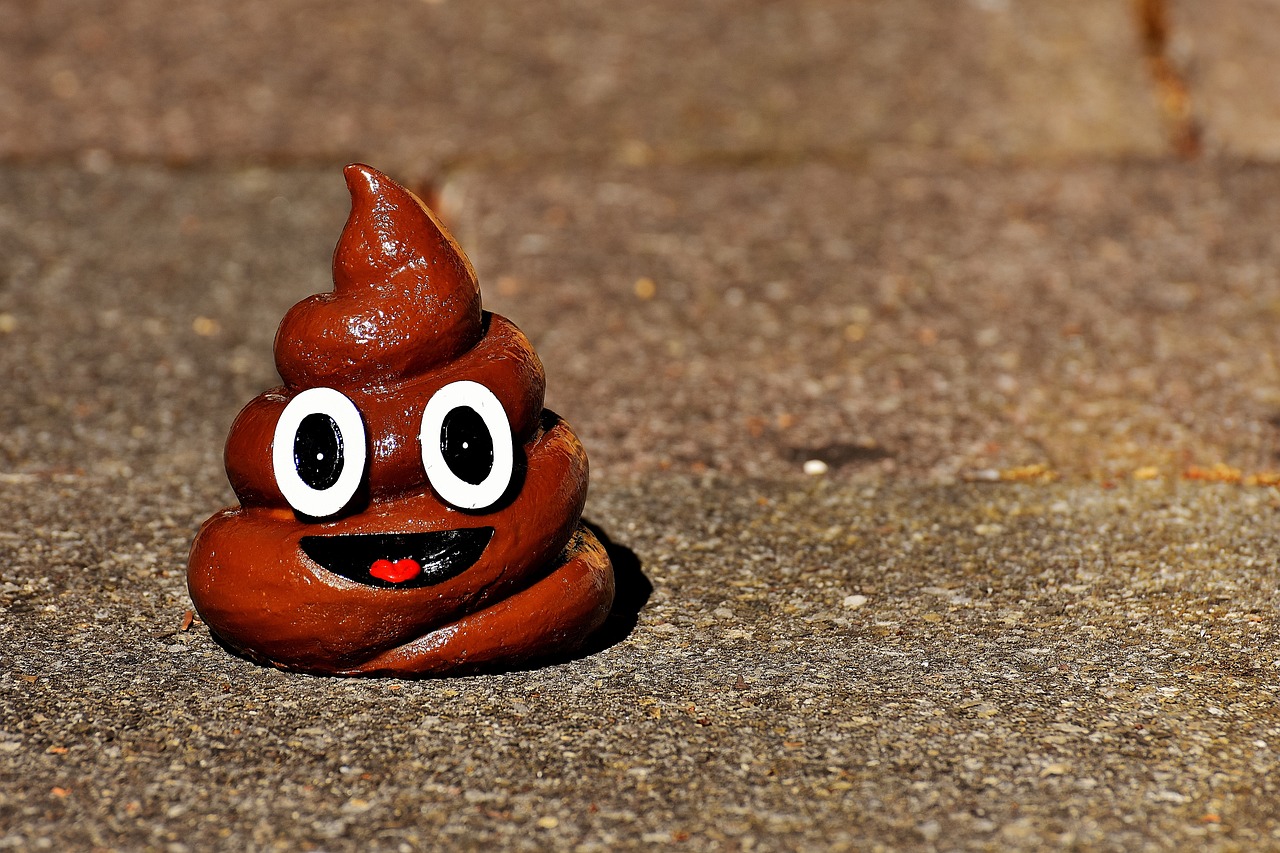 Why Does Poop Smell Bad? The Science Behind the Unpleasant Odor of