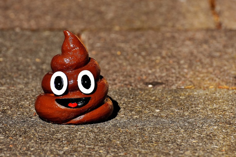 Why Does Poop Smell Bad? The Science Behind the Unpleasant Odor of Stool