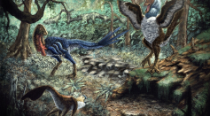 'Chicken from Hell': Previously Unknown Dinosaur Species Challenges Extinction Narratives