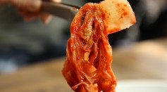 Can Eating Fermented Foods Promote Weight Loss? Study Investigates Kimchi's Impact on Obesity