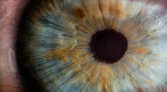 How Does Eye Color Affect Vision? Experts Explore Potential Advantages of Blue Eyes in Dim Light Conditions