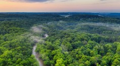 Amazon Rainforest Could Reach Tipping Point, Collapse by 2050 [Study]