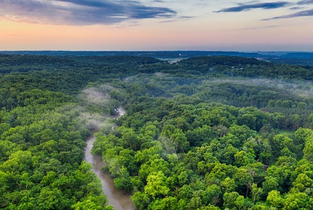 Amazon Rainforest Could Reach Tipping Point, Collapse by 2050 [Study]