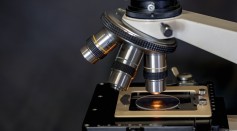 Microscope, Slide, Research