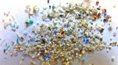 Women’s Placentas Contain Potentially Toxic Microplastics, Mostly from Plastic Bags and Bottles [Study]