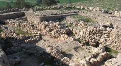 Plants Found in Goliath's Biblical Home Offers New Insights About Philistine Culture, Ritual Practices [Study]