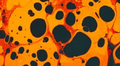 How Life on Earth Started? First Cells Formed From Bubbles of Fat [Study]