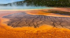 Yellowstone Fungus Adapted For Extreme Environment Makes New Type of Protein for Meat Substitute