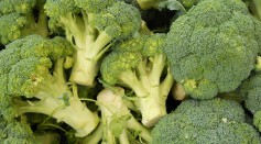 Broccoli Compound Sulforaphane Emerges as a Promising Anticlotting Agent, Potentially Revolutionizing Stroke Prevention