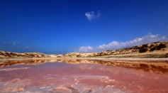 Pink Algae Alert: Health Warning Issued for Meads Quarry Lake in Tennessee