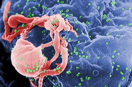 PROTAC Drug Candidates Help Eliminate Viral Reservoir Cells, Show Potential  in Suppressing HIV Replication