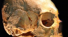 Vittrup Man Murder Case: What Happened to Genetic Migrant in Neolithic Denmark Before Ending Up as a Bog Body?