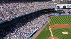 Yankees stadium crowd