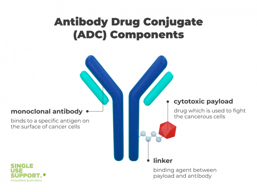 Antibody Drug Conjugate (ADC) Components