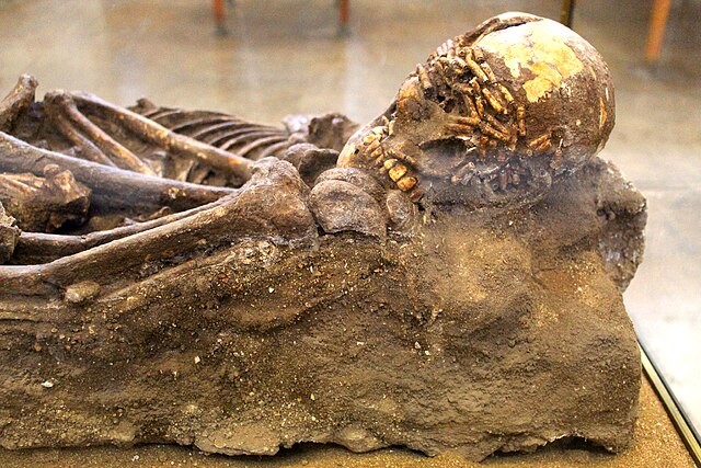 Brutal Prehistoric Ritual Sacrifices in Neolithic Europe Similar to Italian Mafia's Punishment [Study]