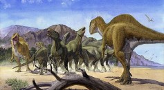 Fossil Record of Dinosaurs and Mammals Challenges Bergmann’s Rule, Debunks Role of Latitude as Predictor of Body Size Diversity