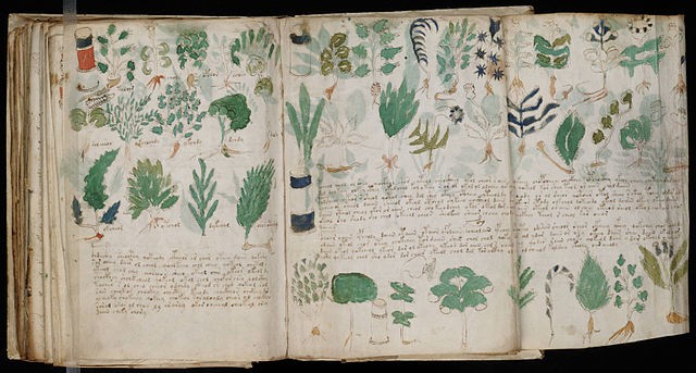 600-Year-Old Voynich Manuscript Cracked; Ecrypted Text Includes Censored Information on Sex, Contraception, Gynecology