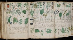 600-Year-Old Voynich Manuscript Cracked; Encrypted Text Includes Censored Information on Sex, Contraception, Gynecology