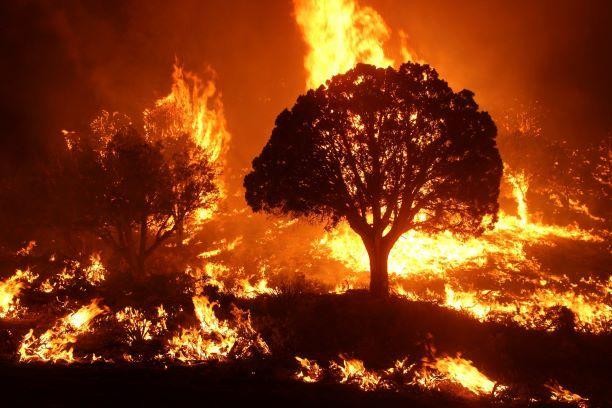 10 US States With Higher Chances of Wildfire in 2024 Revealed; Check the Map to See If Your Area Is Safe