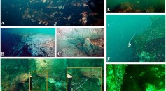 Taam Ja' Blue Hole:  The Deepest Known Underwater With Hidden Caves and Tunnels