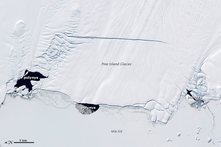 50-Year Mysterious Giant Hole in Antarctic Ice Finally Solved; Here's What an Oceanographer Says