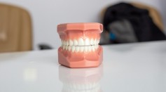 Teeth Regrowing Drug Human Trials