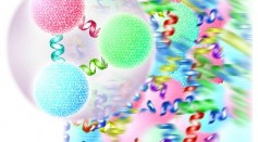 Exotic Particle X(2370) Made of Pure Force Could Be the Lightest Glueball Predicted by the Standard Model of Physics