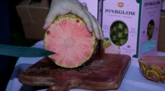 Pink Pineapple: Genetic Marvel or Marketing Gimmick?
