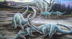 Musankwa Sanyatiensis New Dinosaur Specie