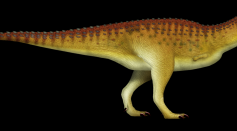 Newly Discovered Dinosaur Had Arms Smaller Than T. Rex, Raises Questions About Evolution of Abelisaurid Theropods